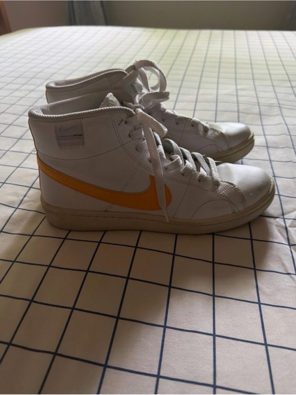 Limited Edition Nike 50th Anniversary Dunk SE